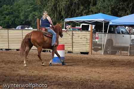 IMG_0137_0772