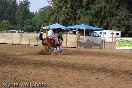 IMG_0229_0864