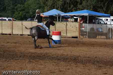 IMG_0249_0884