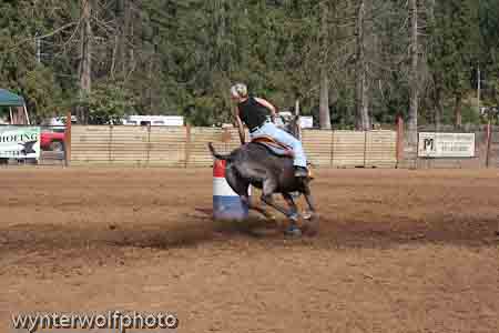 IMG_0255_0890