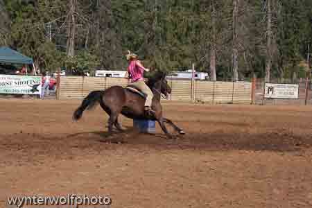 IMG_0288_0923