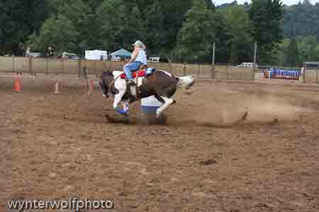 IMG_0365_1000