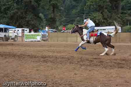 IMG_0375_1010