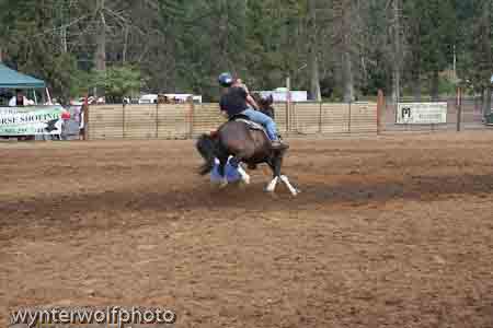 IMG_9986_0622
