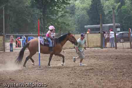 figure 8_4033