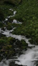 Wahkeena Falls